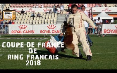 Jour 2 de la coupe de France de Ring Français 2018