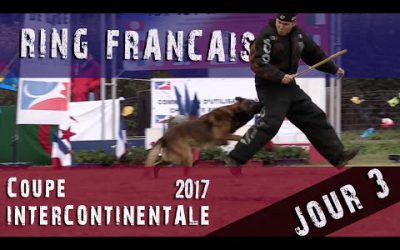 Jour 3 - Coupe Intercontinentale Ring Français 2017