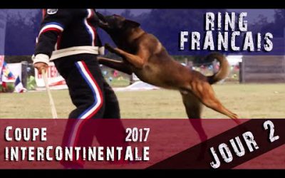 Jour 2 - Coupe Intercontinentale Ring Français 2017