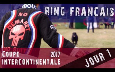 Jour 1 - Coupe Intercontinentale Ring Français 2017