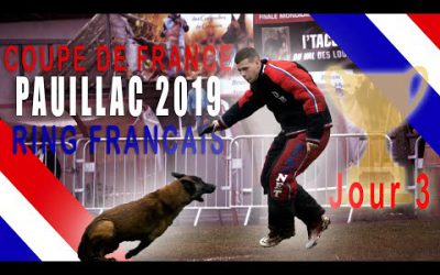 JOUR 3 - COUPE DE FRANCE RING FRANCAIS 2019