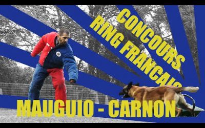 CONCOURS RING Français - Mauguio Carnon - Mai 2019