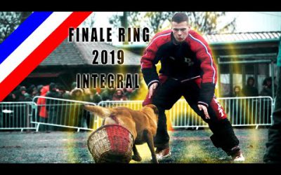 Integral Finale RING 2019