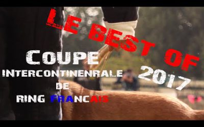 Best of - Intercontinentale RING 2017