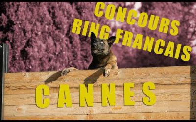 Concours RING Français - CANNES Septembre 2019