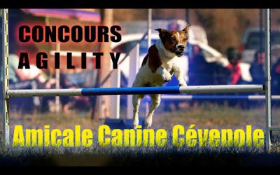 Concours Agility 2019 - AMICALE CANINE CEVENOLE